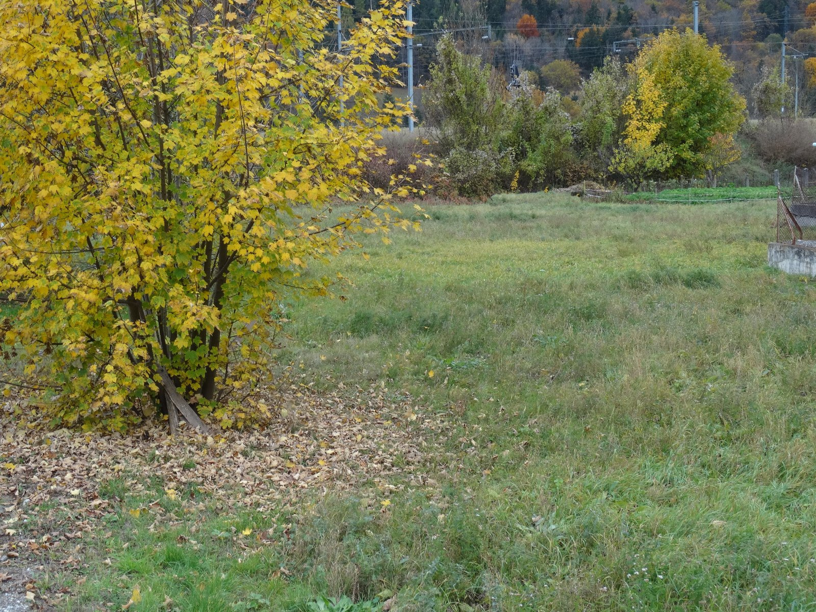 Image_, Terrain, Aime, ref :125250L
