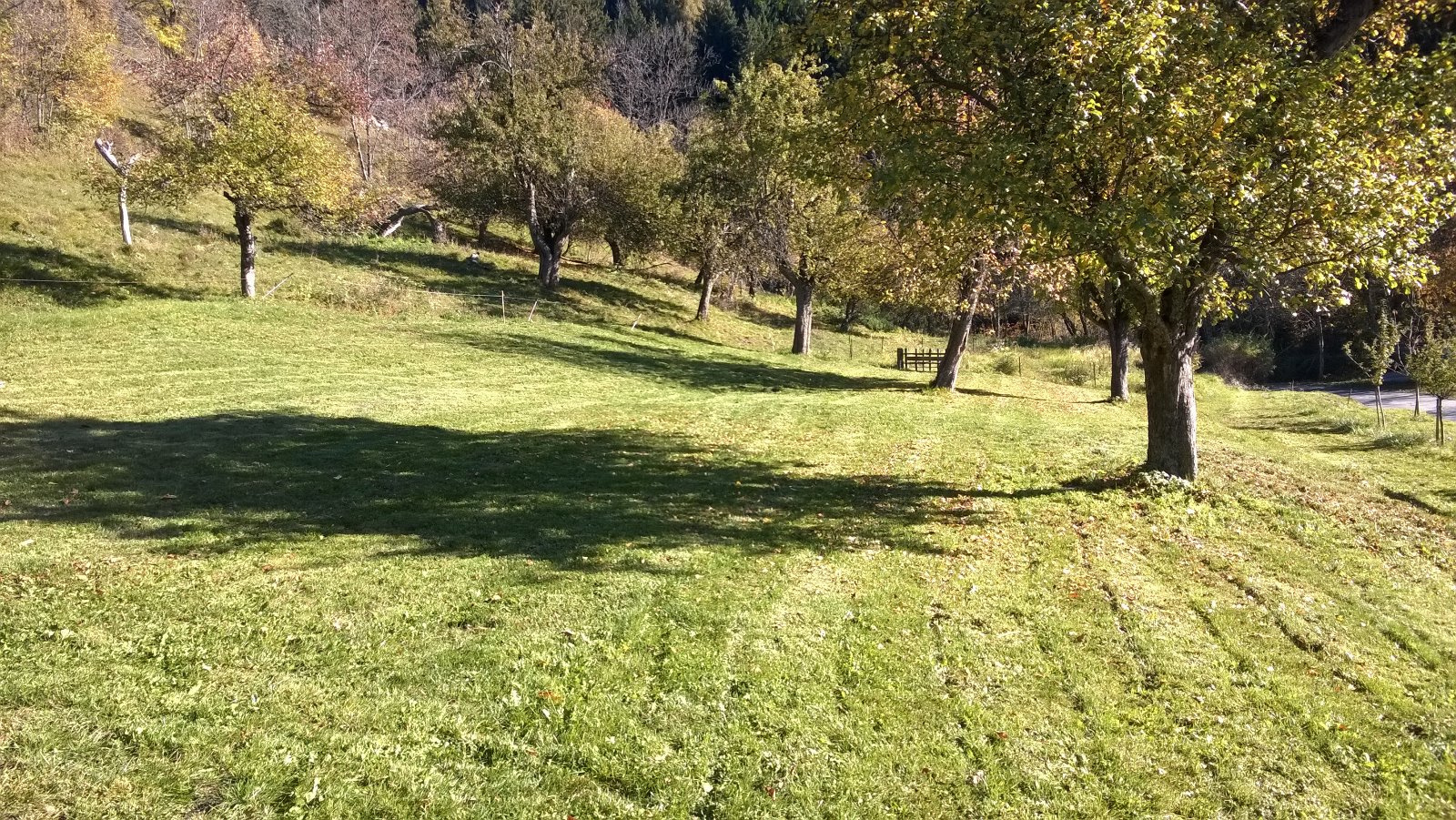 Image_, Maison, Bourg-Saint-Maurice, ref :VPM987854525896M